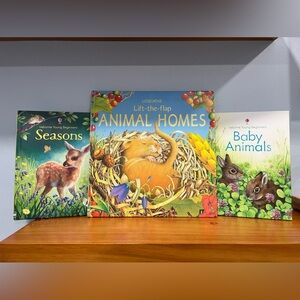 LOT Of 3 USBORNE Books About Animals, Seasons & Nature Homeschool Used EXCELLENT